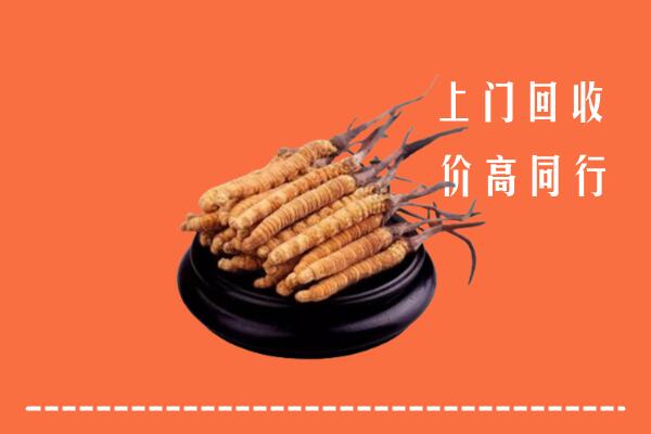 遵义绥阳县回收散虫草