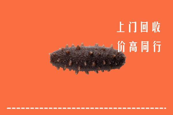 遵义绥阳县回收海参