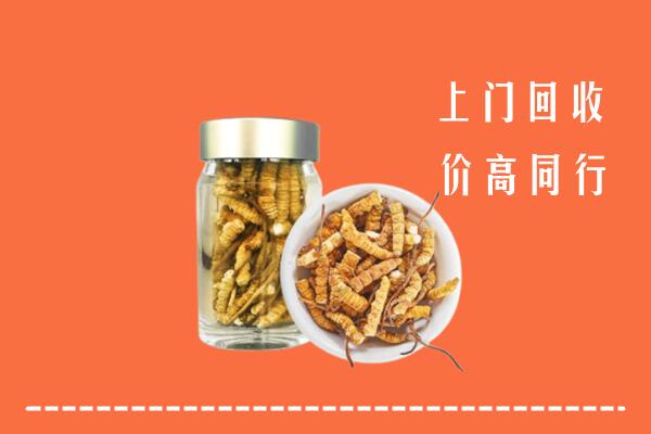 遵义绥阳县回收冬虫夏草