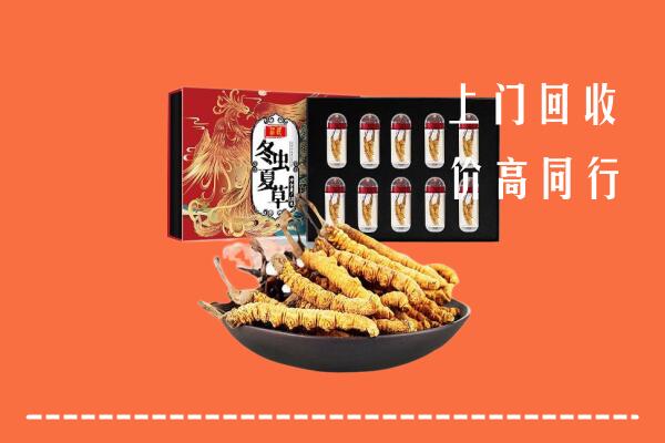 遵义绥阳县回收虫草